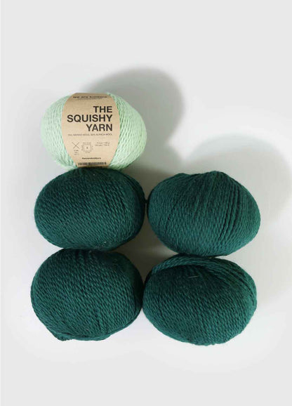 Pack di 5 gomitoli di Squishy Yarn