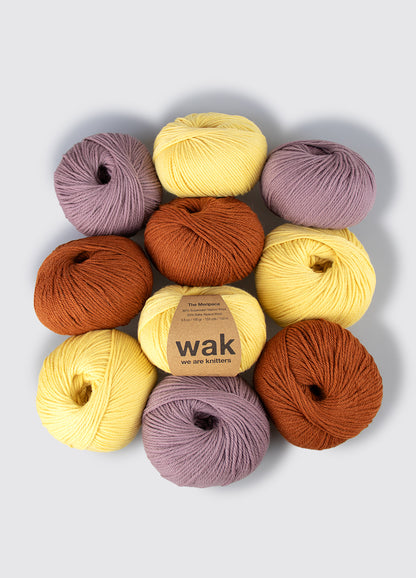 Pack di 10 gomitoli di Meripaca Yarn